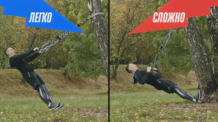 Петли TRX FISIO