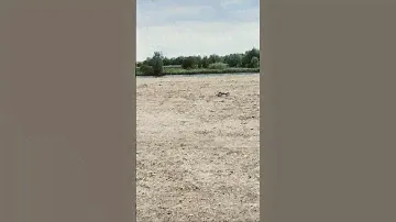 Jumping high with Tekno EB 2200kv hobbywing Max-8