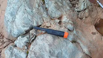 Finding Gold with a Whites Bullet TRX