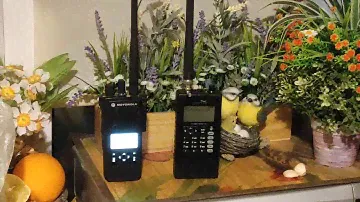 TRX-1 vs DP4601