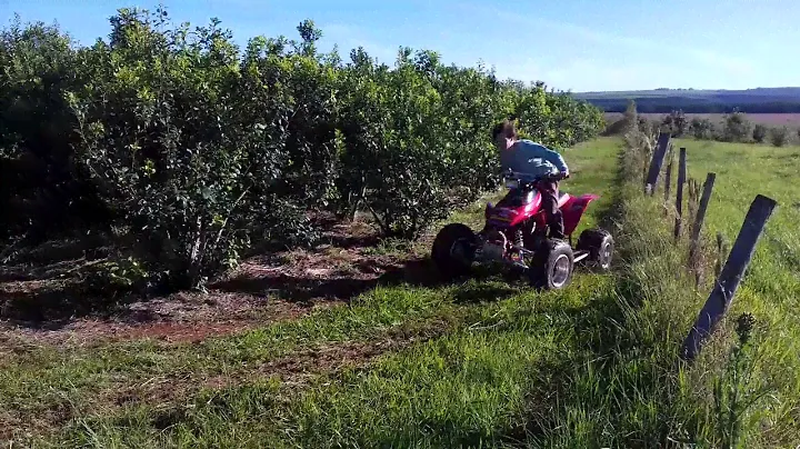 Cuatri Honda TRX 300