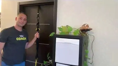 How to Set Up Your TRX Using a Door Anchor